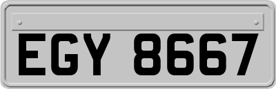 EGY8667