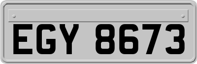EGY8673