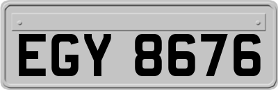 EGY8676