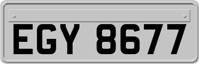 EGY8677