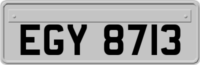 EGY8713