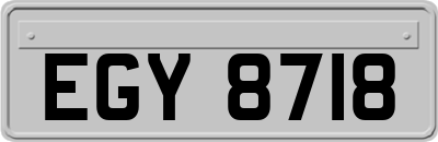 EGY8718