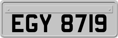 EGY8719