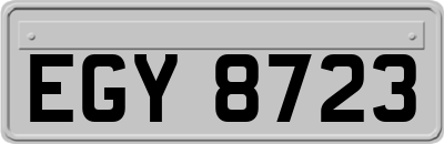 EGY8723
