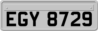 EGY8729