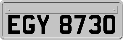 EGY8730
