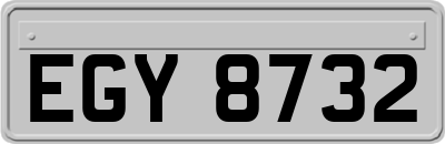 EGY8732