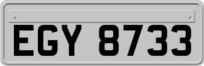 EGY8733