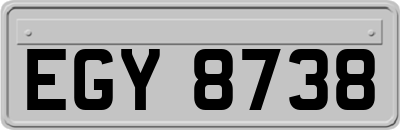 EGY8738