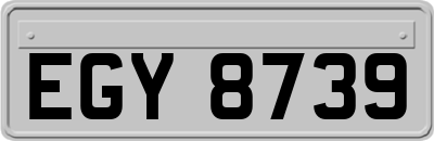 EGY8739
