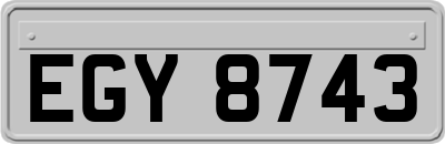 EGY8743