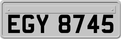 EGY8745