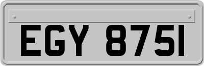EGY8751