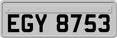 EGY8753