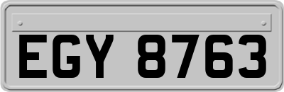 EGY8763