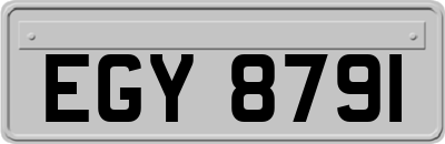 EGY8791