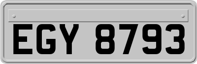 EGY8793
