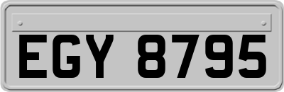 EGY8795