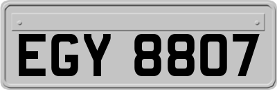 EGY8807