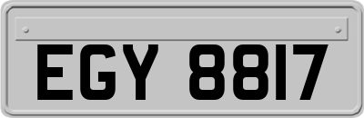 EGY8817