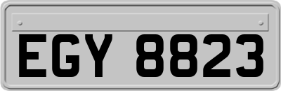 EGY8823