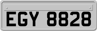 EGY8828