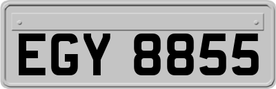 EGY8855