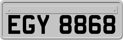 EGY8868