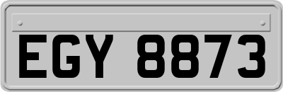 EGY8873