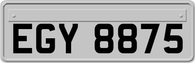 EGY8875