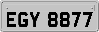 EGY8877