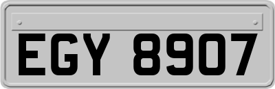 EGY8907