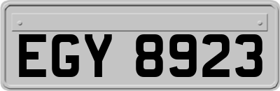EGY8923