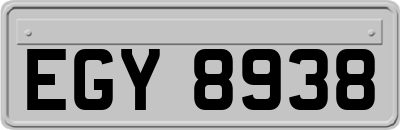 EGY8938