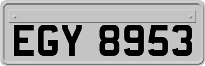 EGY8953