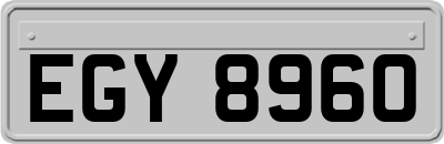 EGY8960