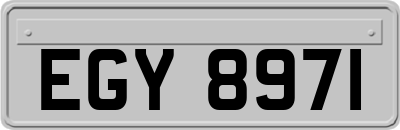 EGY8971