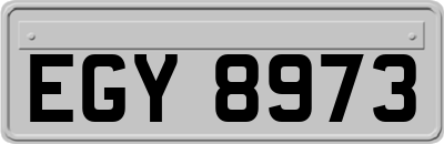 EGY8973