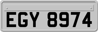 EGY8974