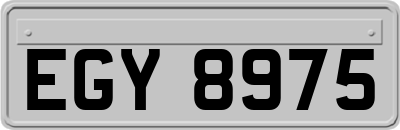 EGY8975