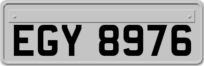 EGY8976