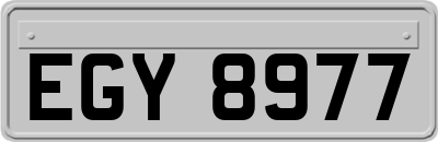 EGY8977