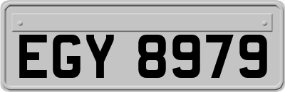 EGY8979