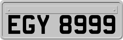 EGY8999