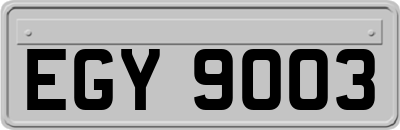 EGY9003