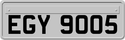 EGY9005