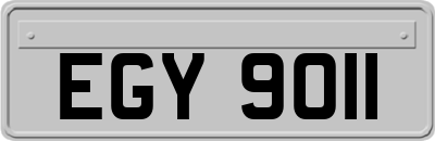 EGY9011