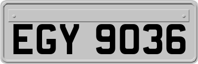EGY9036