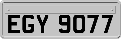 EGY9077