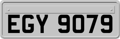 EGY9079